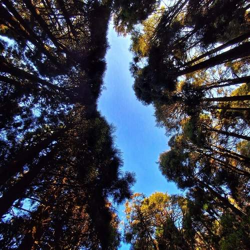 Photo #10422714