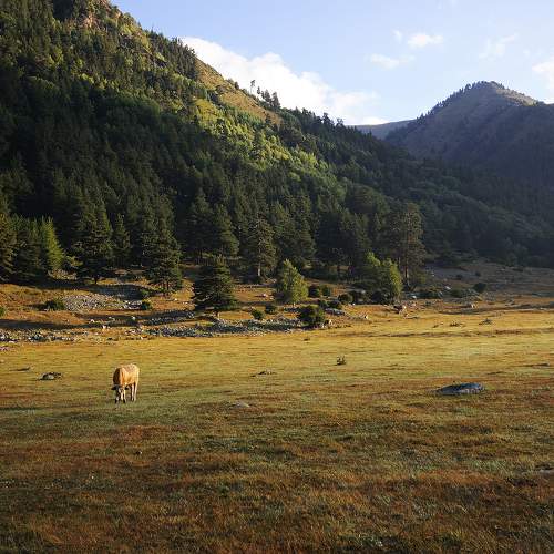 Photo #10422730