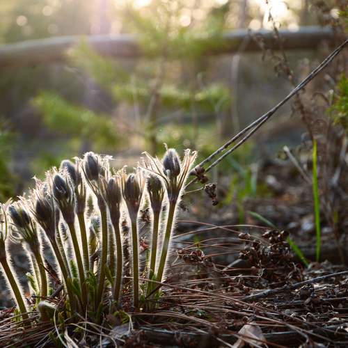 Photo #10422828