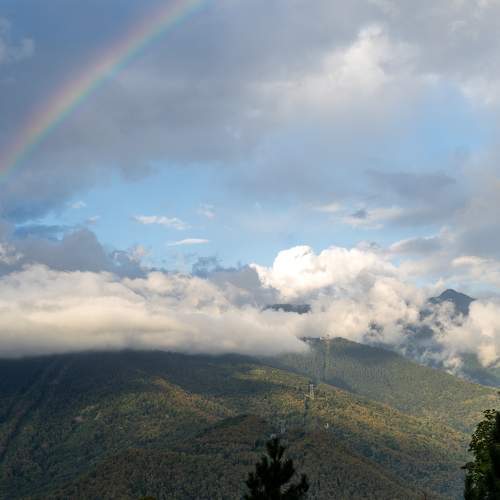 Photo #10423082