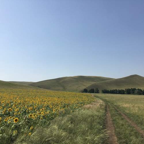 Photo #10423205