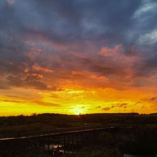 Photo #10423508