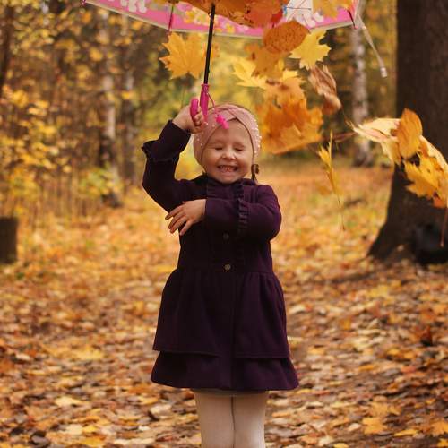 Photo #10424071