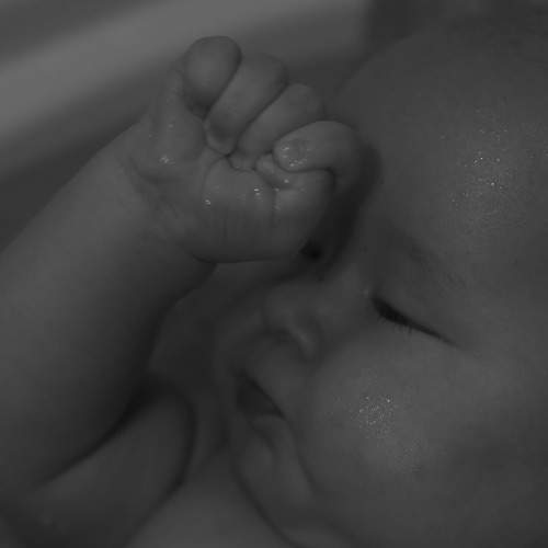 Photo #10424151