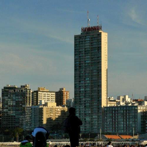 Photo #10424232