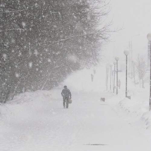 Photo #10424405