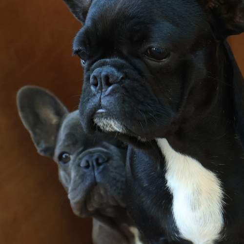 Photo #10424908