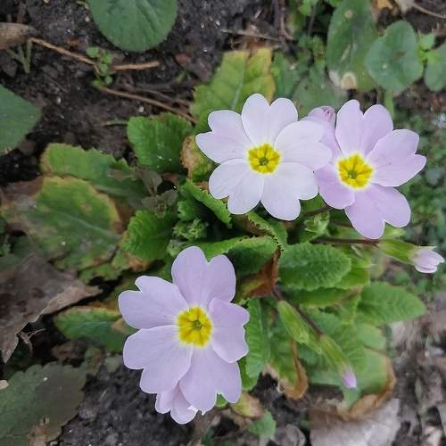 Photo #10424920