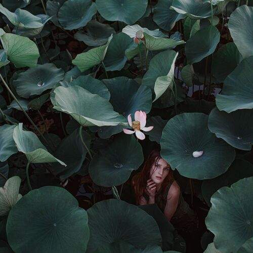 Photo #10425007