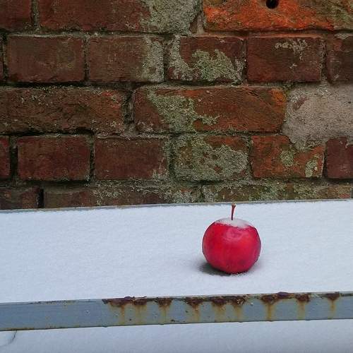Photo #10425069