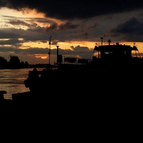 Photo #10425465