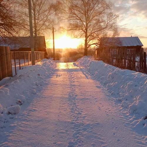 Photo #10425479