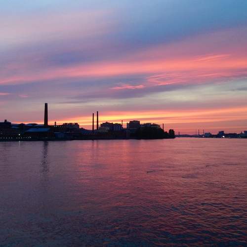 Photo #10425483
