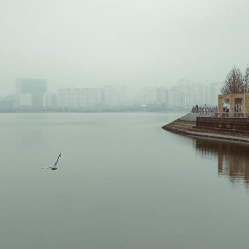Photo #10426394