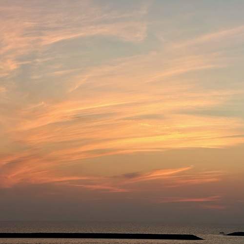 Photo #10426482