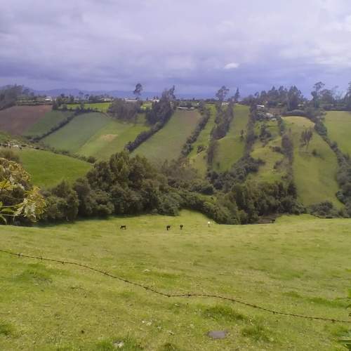 Photo #10426570