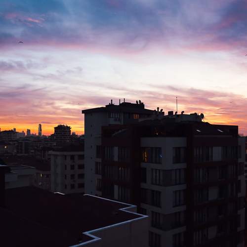 Photo #10426618