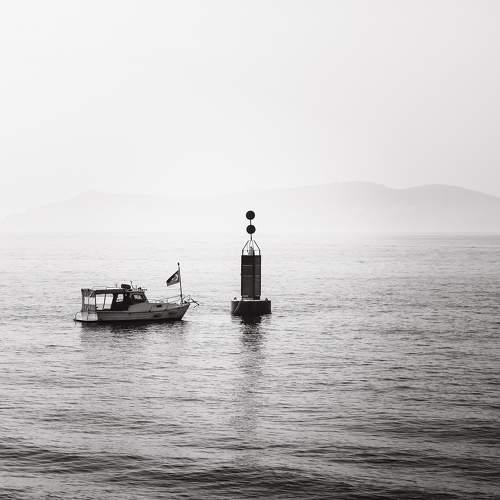 Photo #10426627