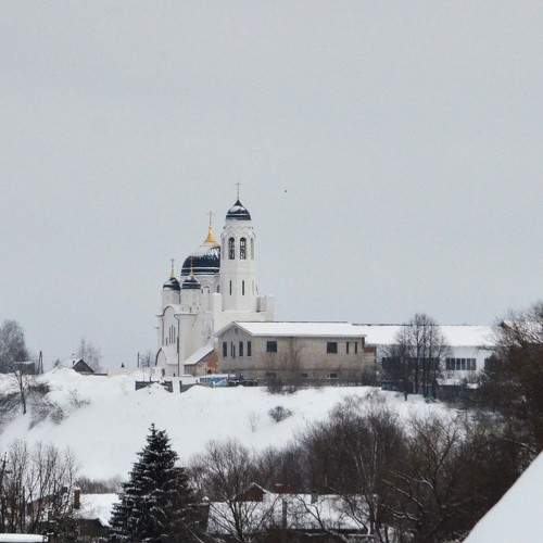 Photo #10427295