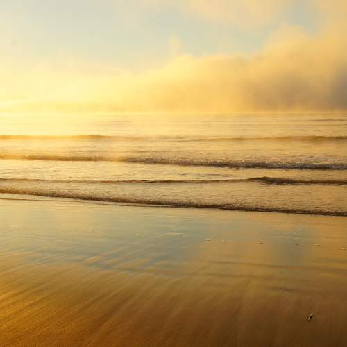 Photo #10427391