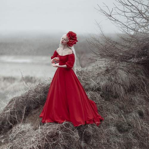 Photo #10427822