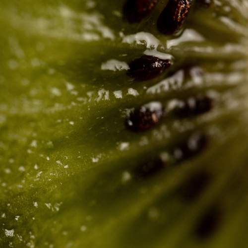 Photo #10427943