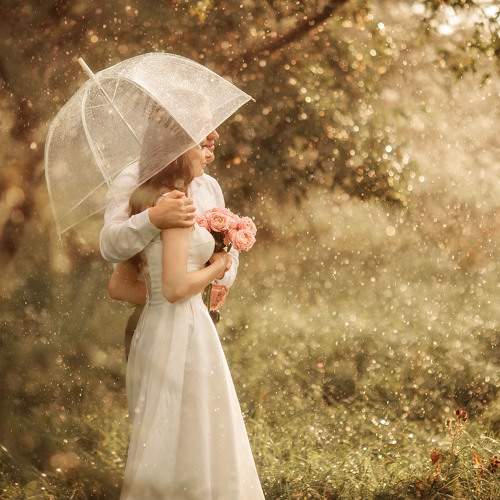 Photo #10428200