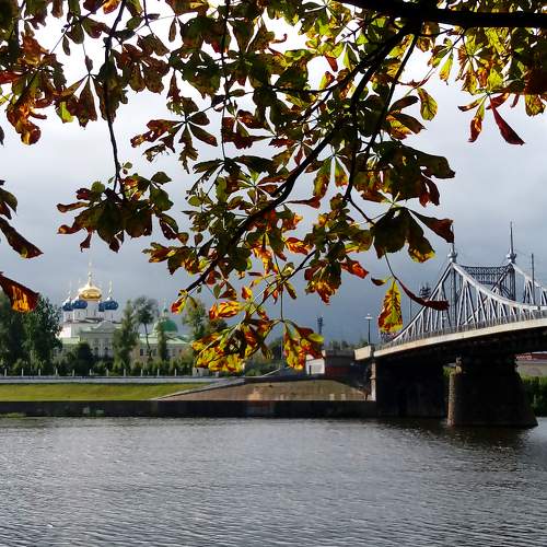 Photo #10428213
