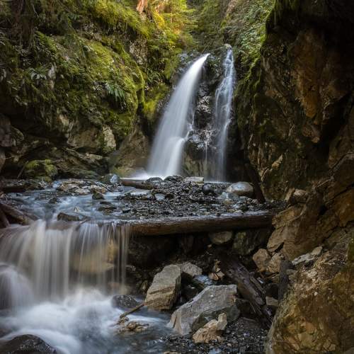 Photo #10428327