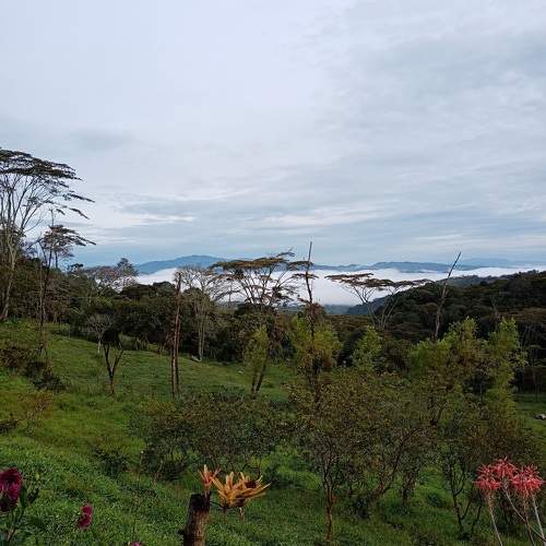 Photo #10428357