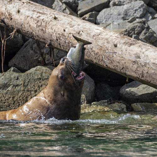 Photo #10428403