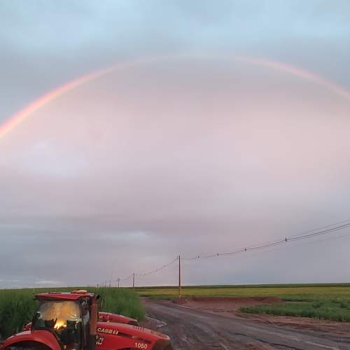 Photo #10428414