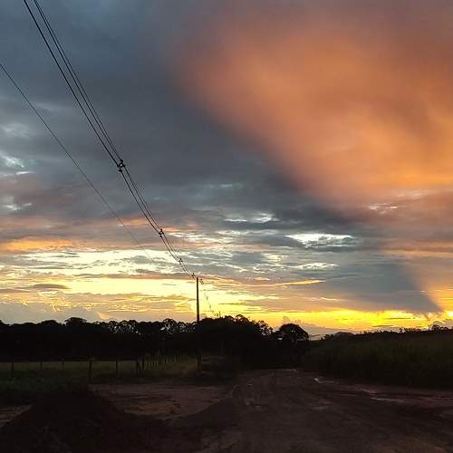 Photo #10428437
