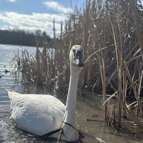 Photo #10428781
