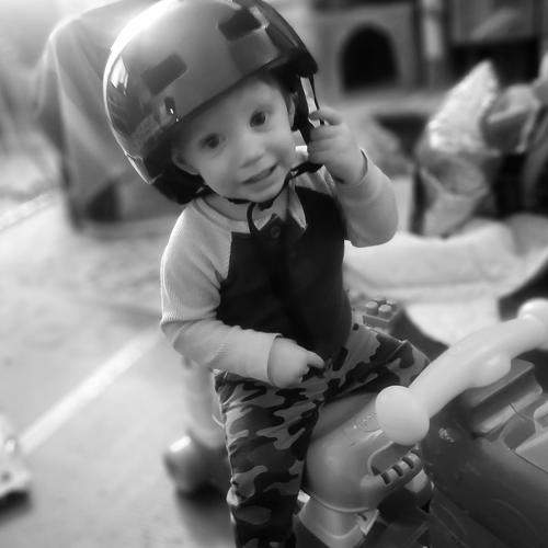 Photo #10428944