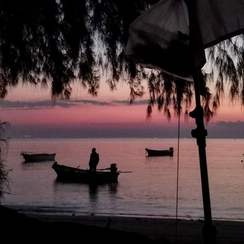 Photo #10429221