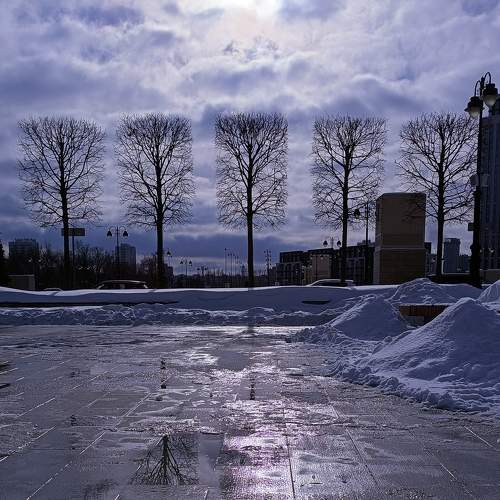 Photo #10429272