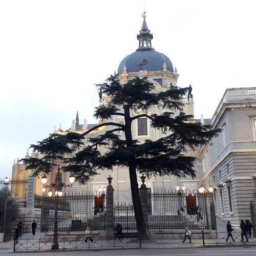 Photo #10429294