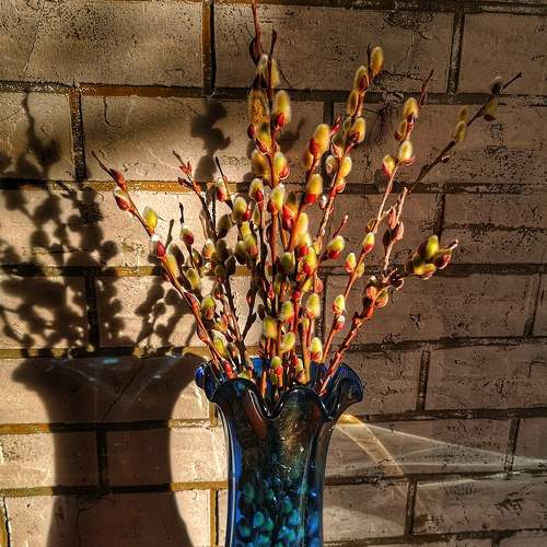 Photo #10429582