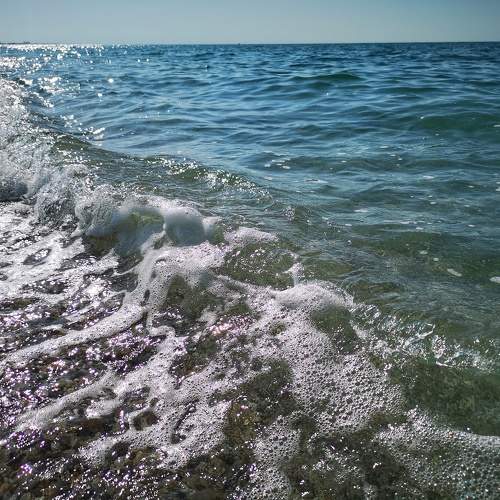 Photo #10429585
