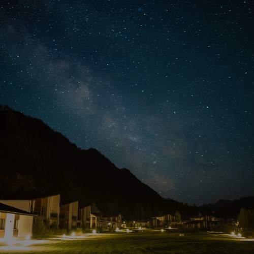Photo #10429632