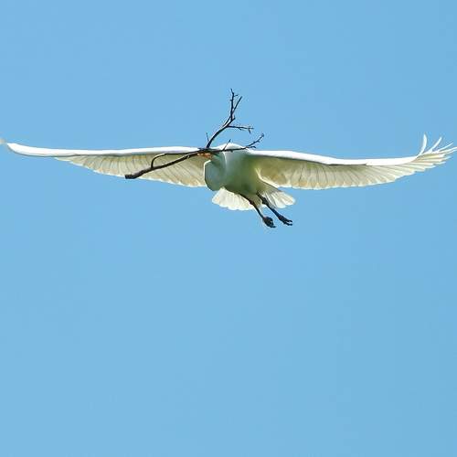 Photo #10429970