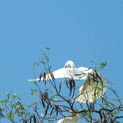Photo #10429975