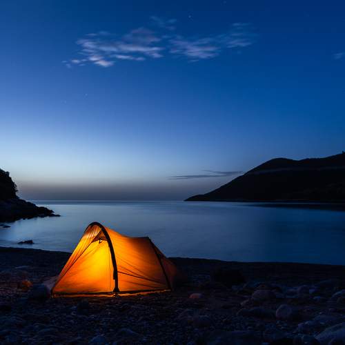 Photo #10430083