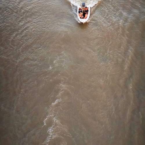 Photo #10431011