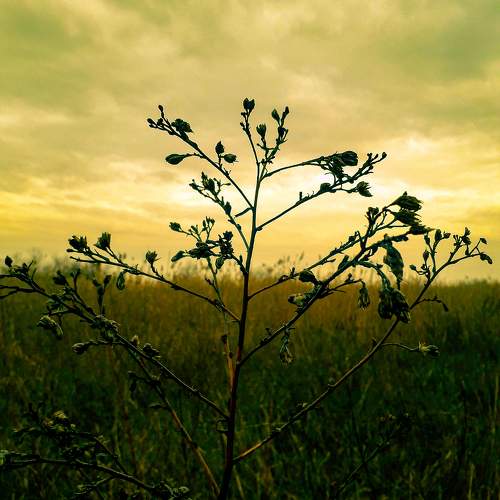 Photo #10431068