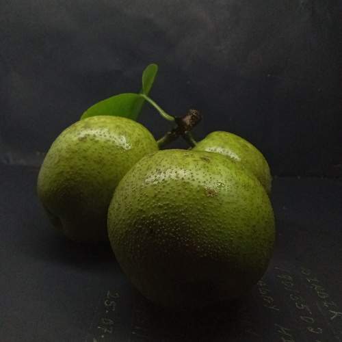 Mobile photography raw pear ?