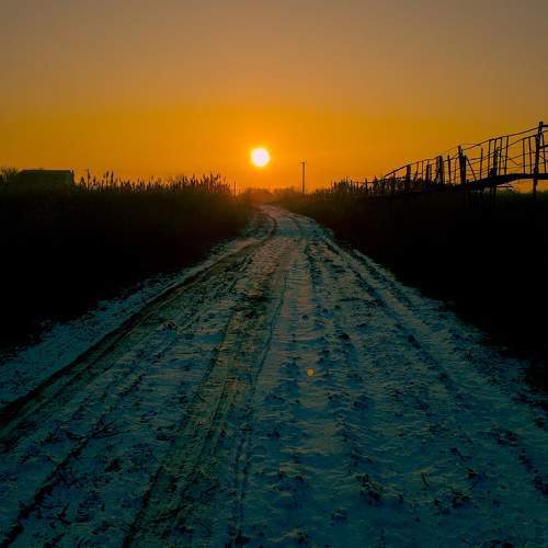 Photo #10431103