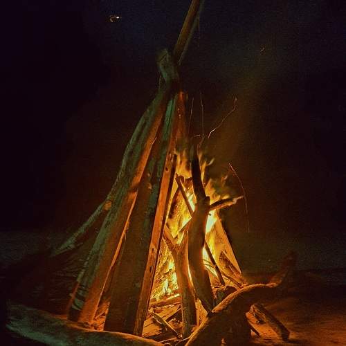 Photo #10431268