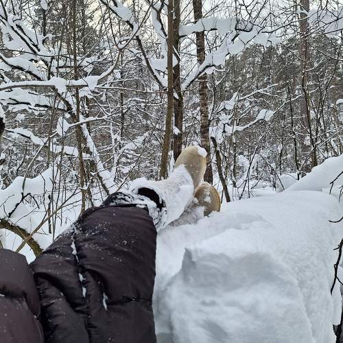 Photo #10431364